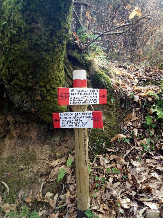 Da Greta Villa La Spezia Bagian luar foto