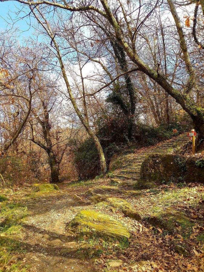 Da Greta Villa La Spezia Bagian luar foto